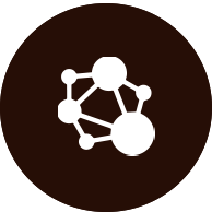 Values icon